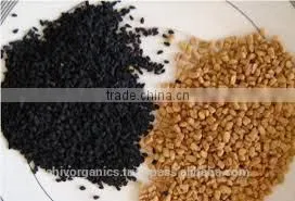 Fenugreek Seed Oil photo-2
