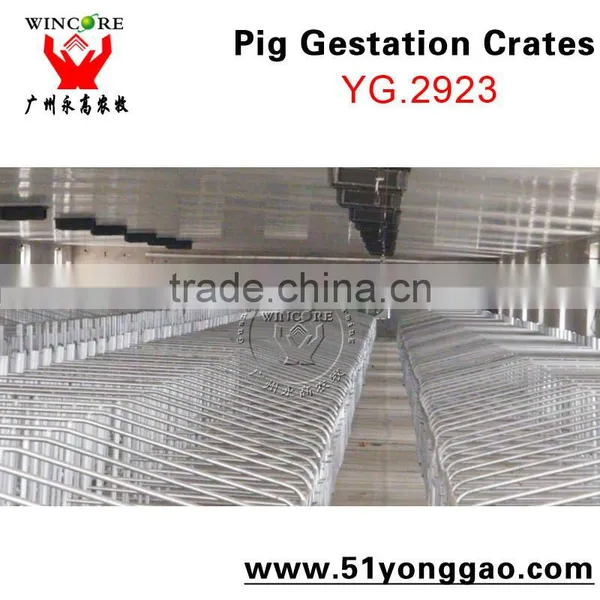 Pig Farm Equipment Sow Pig Gestation Crates Pig Equipment