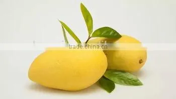 20% Ethephon Granule, CAS Code 16672-87-0, Mango Ripener