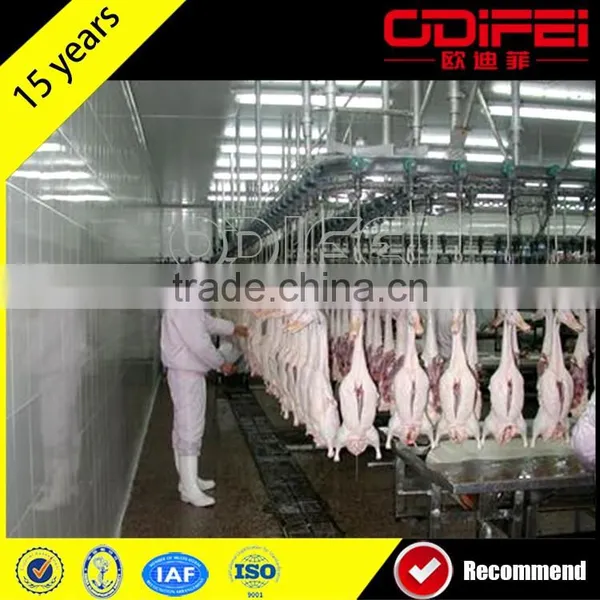 Chicken Butcher Plant for Broilers photo-4