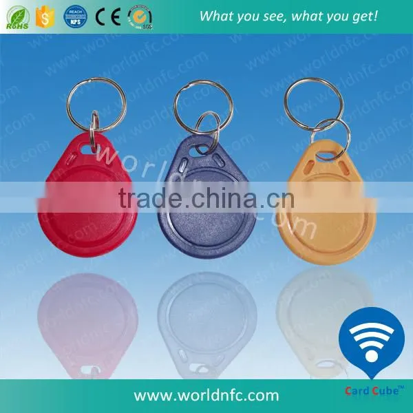 Custom Logo Printing ISO15693 Key Tag / RFID Keyring / RFID Keychain photo-4