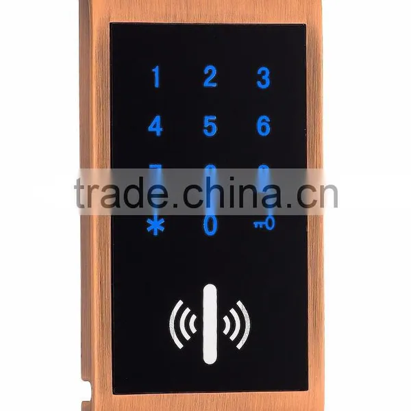 Both Code and Electronic Induction Using Widely of Smart Door Lock for Villa photo-4