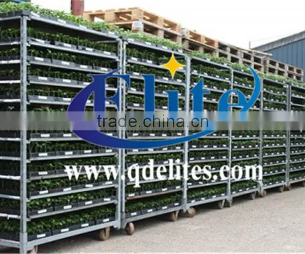 5Danish Flower Trolley Display Cart photo-4