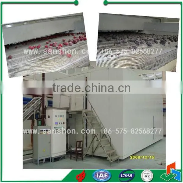Food Freezing IQF Blast Freezing Vegetable Freezing Machine Frozen Cranberries photo-6