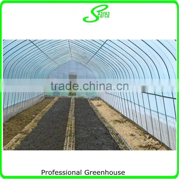 High Quality Film Blue Greenhouse for Sale photo-2