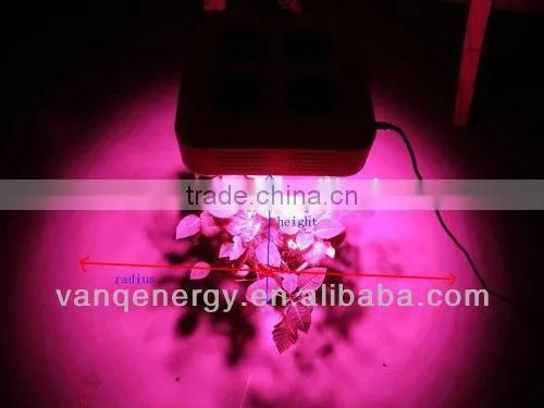Vanq Classical 600W COB Led Grow Plant Light for Green Farm Hydroponics photo-2