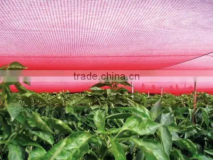 Hot Sell Wholesale Good Quality Hdpe Greenhouse Sun Shade Netting With Cheap Price photo-4