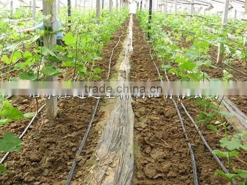 High Quality pe Material Agriculture Drip Tape photo-2