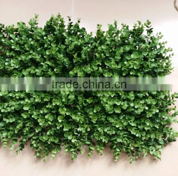CHY060852 Guangzhou Shengjie Whoesale Artificial Boxwood Green Hedge Interior & Exterior Wall Paneling photo-4