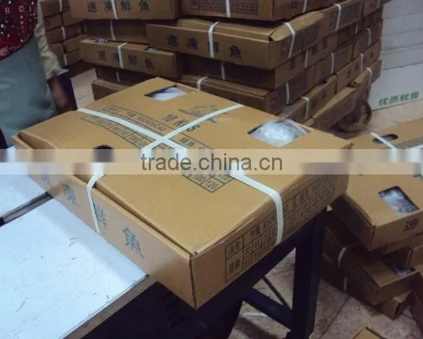 Frozen Sardines Whole Round,80pcs for 10kgs per Carton photo-2