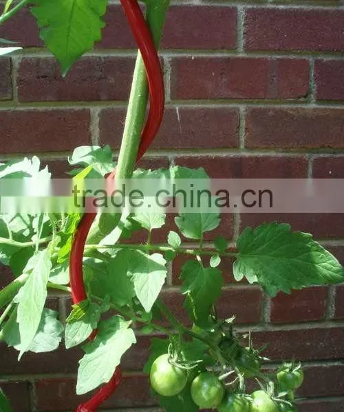 3mm Electro-galvaized Tomato Trellis High Quality China Supplier on Sale photo-5