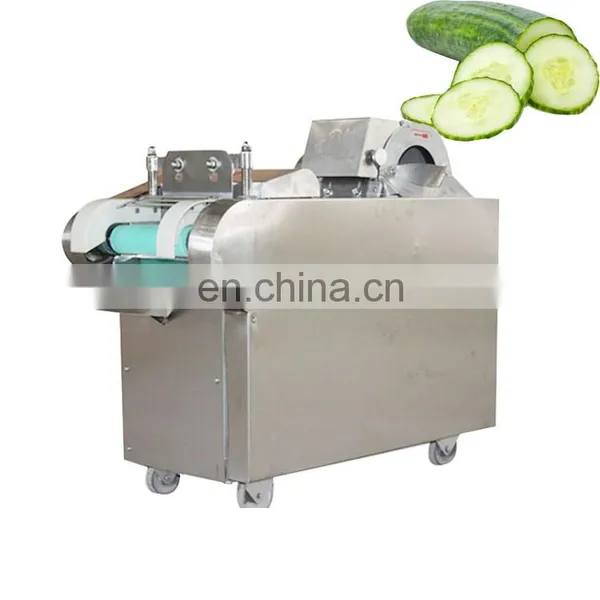 Stainless Steel Fruit and Vegetable Slice Cutting Machine photo-5