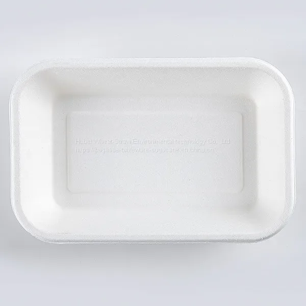 New Hot Disposable Biodegradable 24OZ TRAY Bagasse Food Box Take Away Sugarcane Container photo-4