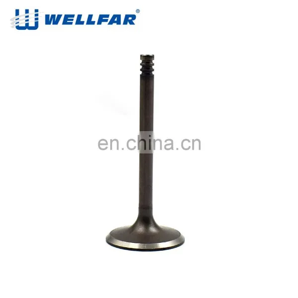 High Wear Resistance Auto Engine Parts Qd32 Engine Valve photo-4