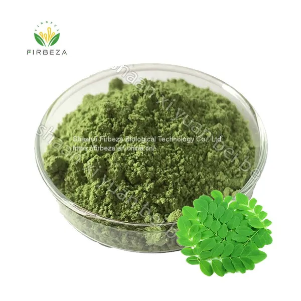 Natural Organic Wholesale Price 10:1 Moringa Oleifera Leaf Extract Powder
