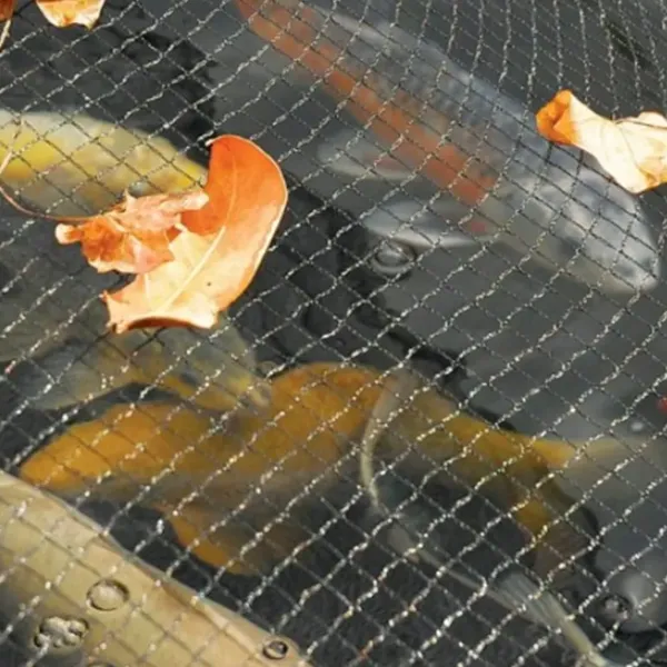 Woven Bird Netting 5m x 15m Drape Over Netting 2cm 2.5cm 3cm Hole Size Pond Cover Net photo-3