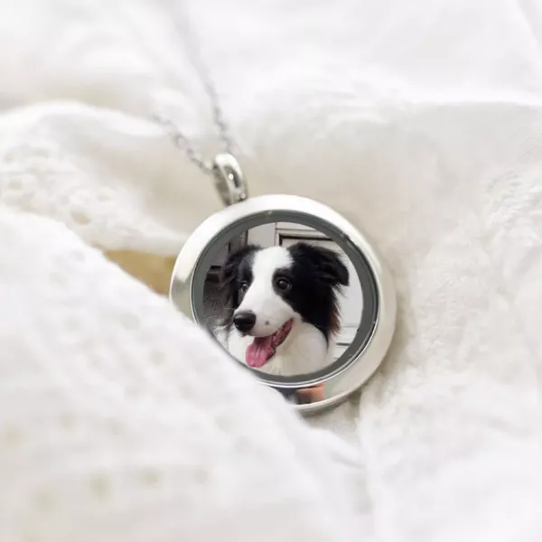 Lead-Free Nickel Safe Pet Memorial Pendant Necklace with 18