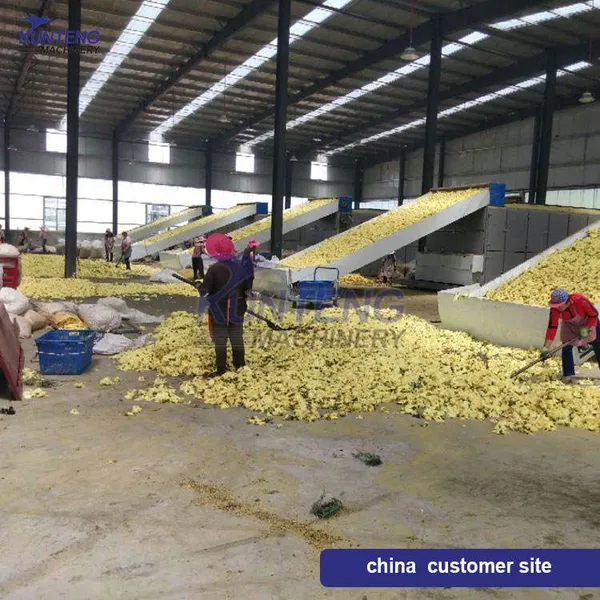 Biomass Pellets/Wood/Coal Heating Drying Machine Cassava Chili Continuous Mesh Belt Dryer EPC photo-5