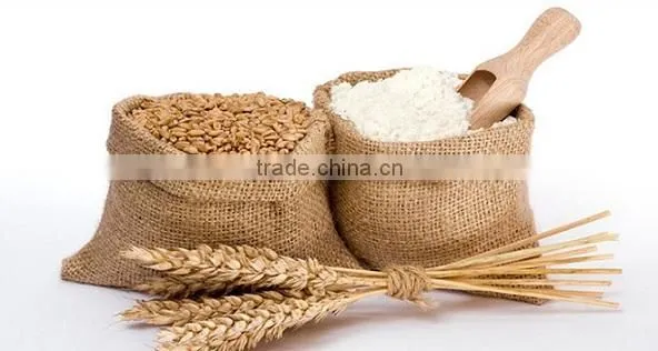 Complete Set of Wheat Flour Milling Machinery photo-6