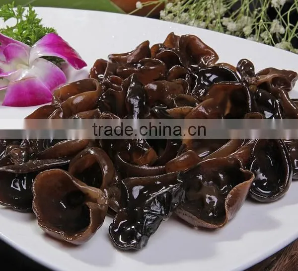 Bubble Type Kelp Washing Machine|Mushroom and Bean Sprout Cleaning Machine photo-5