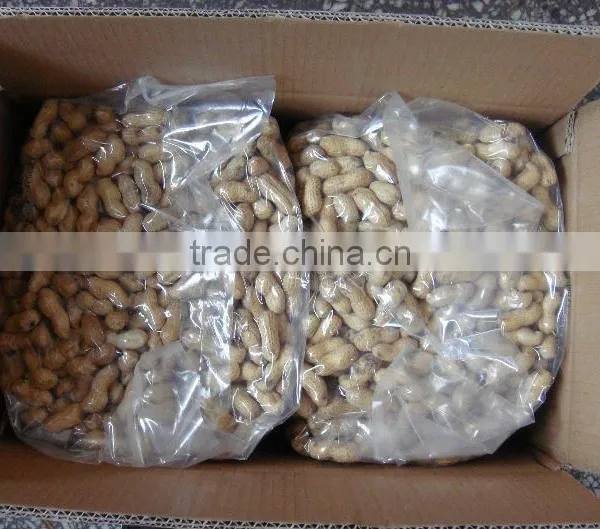 Delicious Roasted Peanuts in Shell for Sale photo-2