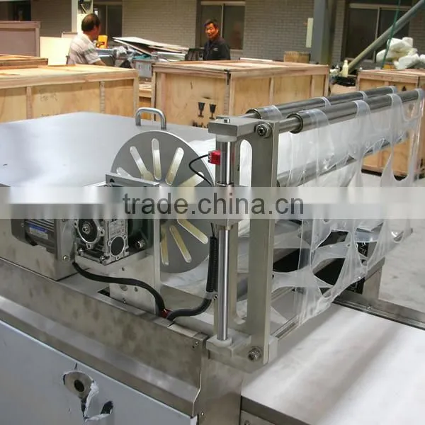 Hot Sale Mozzarella Cheese Thermoforming Vacuum Packaging Machine Sealing Machine Supplier's Choice photo-2