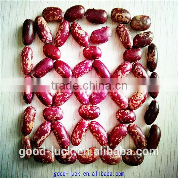 Chinese Purple Speckled Kidney Beans photo-3