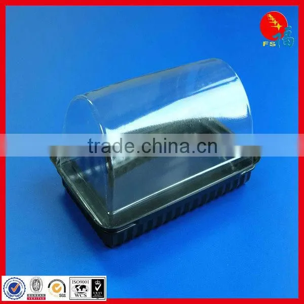 Disposable Food Container