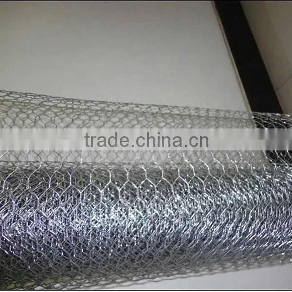 Green/ Black Pvc Coated Lowest Price Chicken Wire Mesh photo-6
