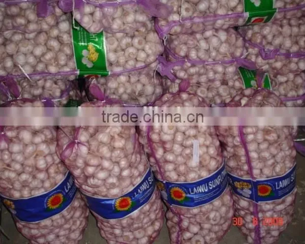 Chinese Normal Garlic photo-5