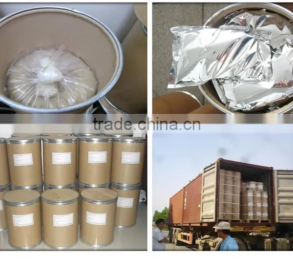 Fungal Chitosan for Stop Blood Bleeding photo-4