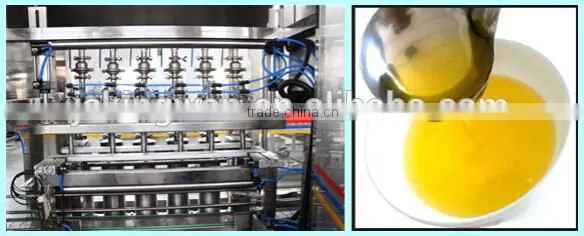 Vegetable Seed Oil Filling Machine/complete Plant