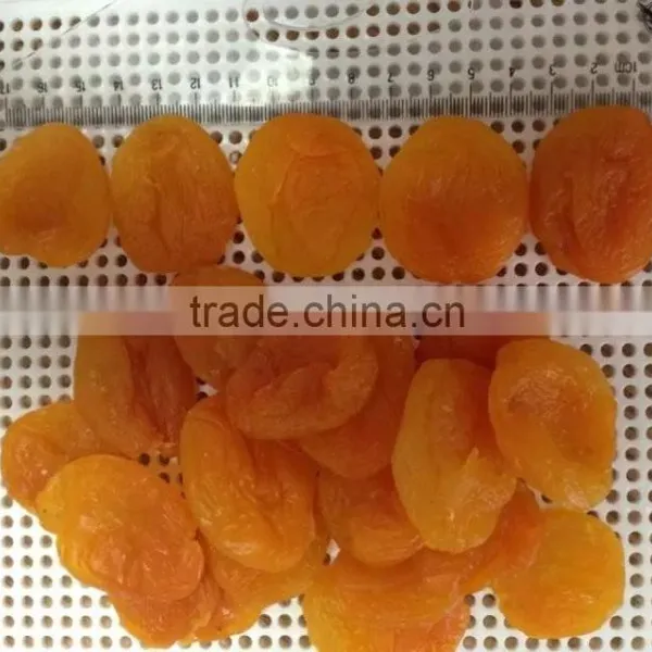 Natural Sun Dried Apricot With Good Quality photo-5