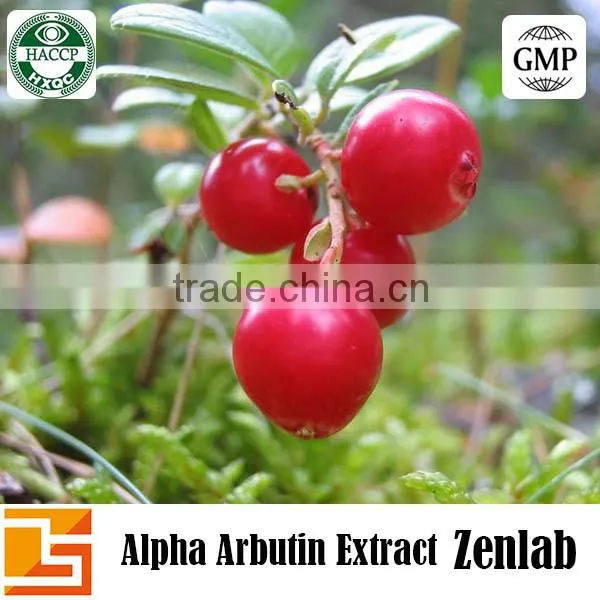 High Quality Natural Beta Arbutin Extract and Beta Arbutin Powder