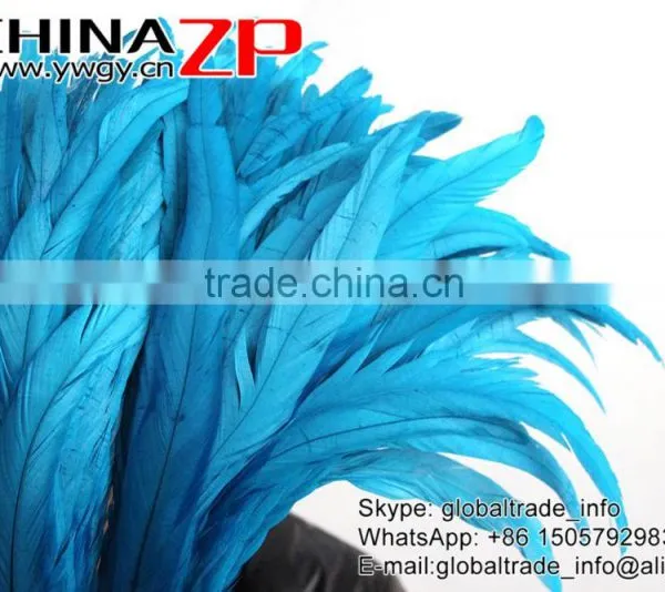 Leading Supplier CHINAZP Wholesale Colored Turquoise Chicken Fully Dyed Roosters Feathers for Fashion Show photo-3