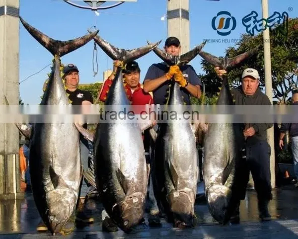 Ultra Low -65 Centigrade Temperature Freeze for Tuna Frozen Storage photo-3