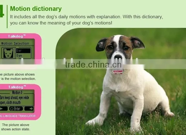 New Fashion Pet Accessory Dog Toy