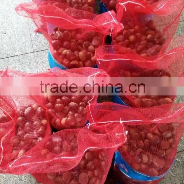 CHINESE CHESTNUTS/ COMMON CHESTNUTS photo-3