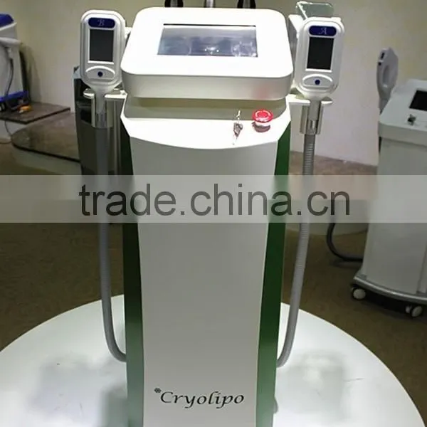 Low Price Cryolypolysis Fat Reducing Machine / Cryolypolysis Loss Weight Machine for Slim Body Device photo-3