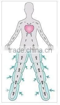 WS-20B Air Pressotherapy Slimming and Detox Machine photo-5