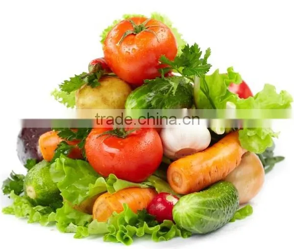 Fresh Vegetables Exporters photo-3