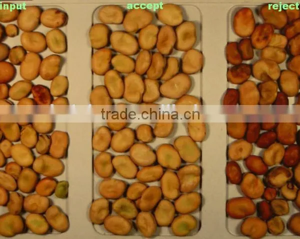CE Certificate Ccd Camera Small Capacity Color Sorter Machine photo-2