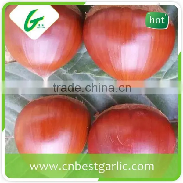 Price Chinese Raw Wholesale Frozen Chestnuts photo-4