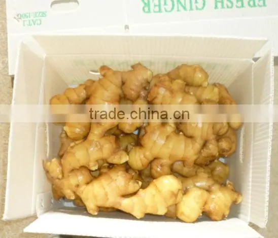 Fresh Ginger 100g and up