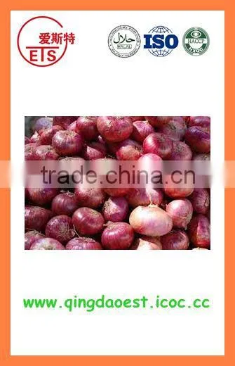 Fresh Red Onion FOR SALE photo-6