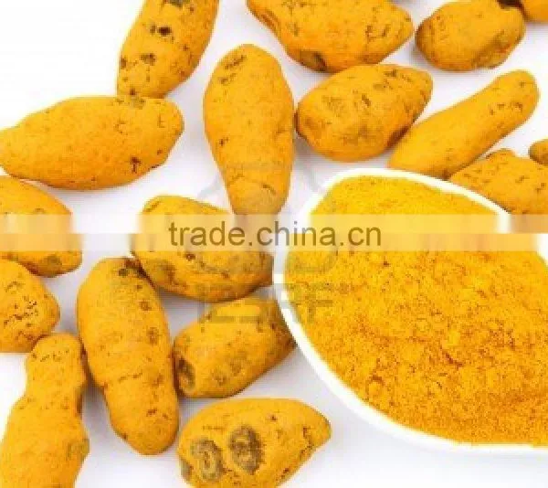 Turmeric Powder photo-3