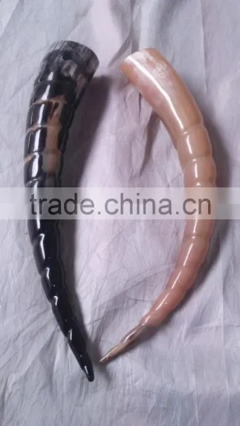 Ring Carving Drinking Horn photo-3