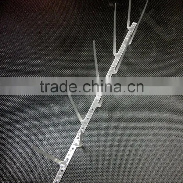 Bird Pigeon Plastic Spikes Anti Birds Control photo-4