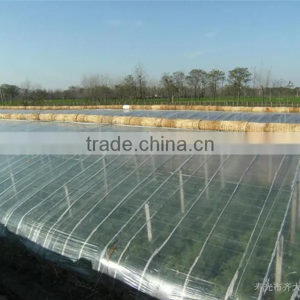 solar greenhouse with plastic sheet for sale