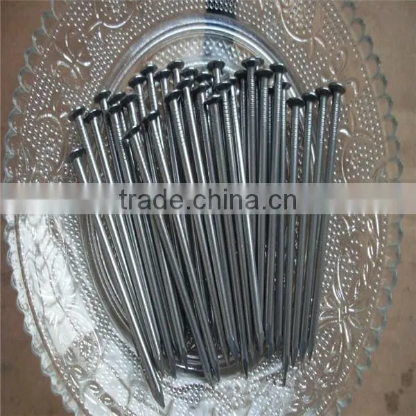 Common Round Iron Wire Nails Factory / Common Nails photo-2
